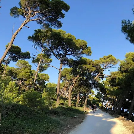 Trieste By Interhome Apartment Rovinj